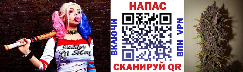 Сколько стоит Бирюсинск Канабис A-PVP ГАШ COCAIN