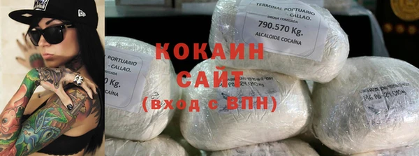 прущие грибы Магадан