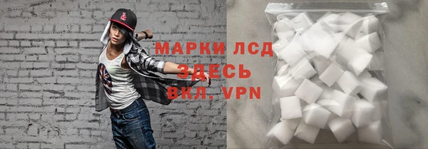прущие грибы Магадан
