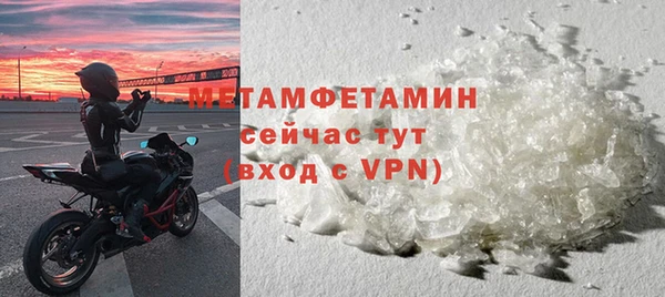 прущие грибы Магадан