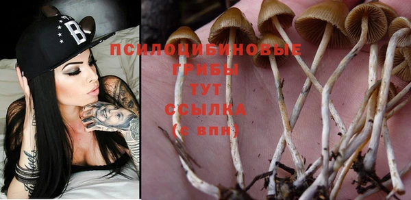 прущая мука Новочеркасск