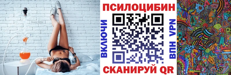 гидра зеркало  Бирюсинск  Галлюциногенные грибы Psilocybe  наркота 
